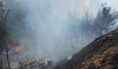İzmir’in Kemalpaşa ve Menemen ilçelerinde orman yangını