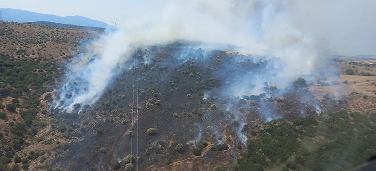 İzmir’in Aliağa ilçesinde otluk ve makilik alanda yangın çıktı