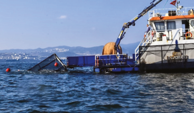 Körfez Nefes Alacak: Deniz patlıcanları Görev Başında