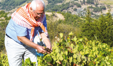 Karabağlar’dan Üreticilere Gübre ve Bordo Bulamacı Desteği