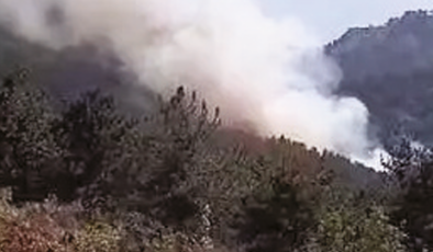 Menderes’te korkutan orman yangını