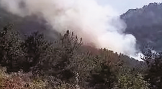 Menderes’te korkutan orman yangını