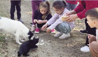 Kedi ve köpeğin dostluğuna tanıklık ettiler