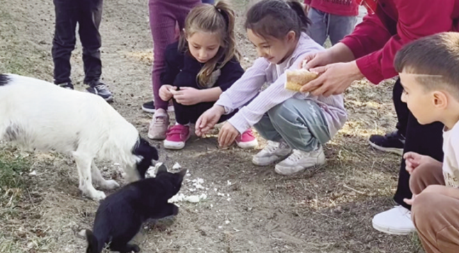Kedi ve köpeğin dostluğuna tanıklık ettiler