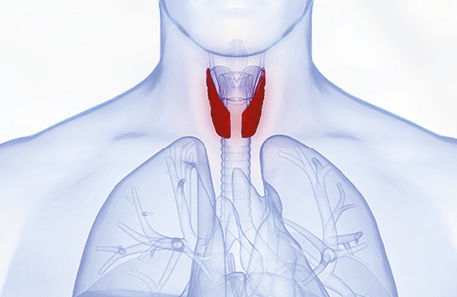 Tiroid Bezi Hastalıkları Nedir?