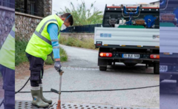 İzmir’de Sivrisinek ve Haşere İle Mücadele 12 Ay Sürüyor