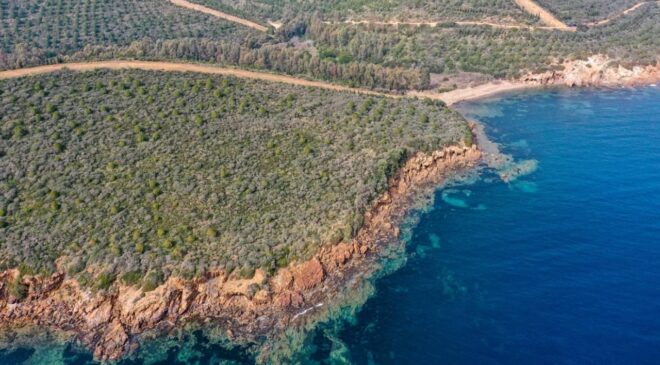 İzmir’de ormanlık alanlara giriş 31 Ekim’e kadar yasaklandı