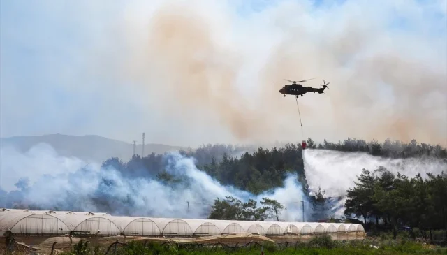 İzmir’in Menderes ilçesinde ormanlık alanda çıkan yangına havadan ve karadan müdahale ediliyor.