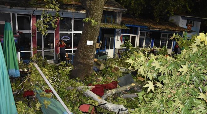 İzmir’de 9 kişi kırılan ağaç dallarının üzerlerine düşmesi sonucu yaralandı