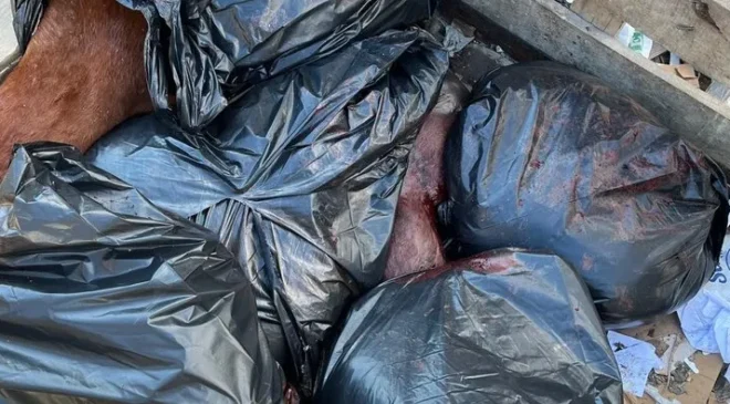 İzmir’de at keserken suçüstü yakalandılar: 4 gözaltı