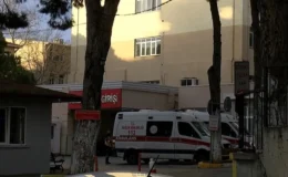 Sarı serum ile yine bir can daha gitti!