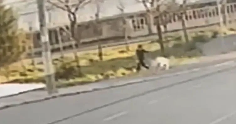 İzmir’de sokak köpeklerinin saldırdığı 8 yaşındaki Süleyman yaralandı