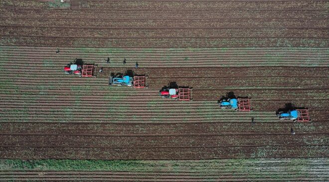 IPARD III kapsamında bir yılda 7,2 milyar liralık hibe verilecek