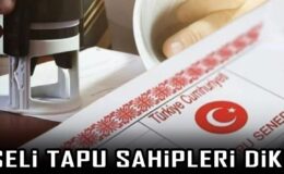 100 milyonluk çark deşifre oldu: “Hisseli tapu” yalanıyla tuzak kurdular