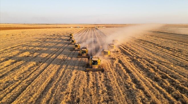 10 soruda afetlere karşı çiftçinin güvencesi tarım sigortaları
