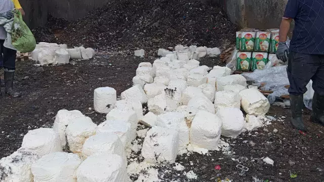 Yakalanmasalar vatandaşa yedireceklerdi! 7 ton bozulmuş peynir imha edildi