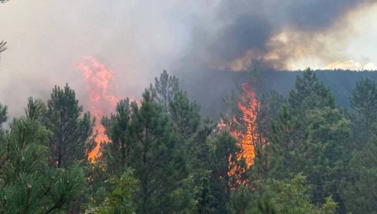 İzmir’in 3 ilçesinde çıkan orman yangınlarına müdahale ediliyor