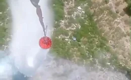 İzmir’de orman yangını! Müdahale sürüyor