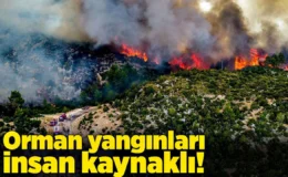 Türkiye genelinde 47 ilde ormanlara giriş yasaklandı