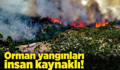 Türkiye genelinde 47 ilde ormanlara giriş yasaklandı