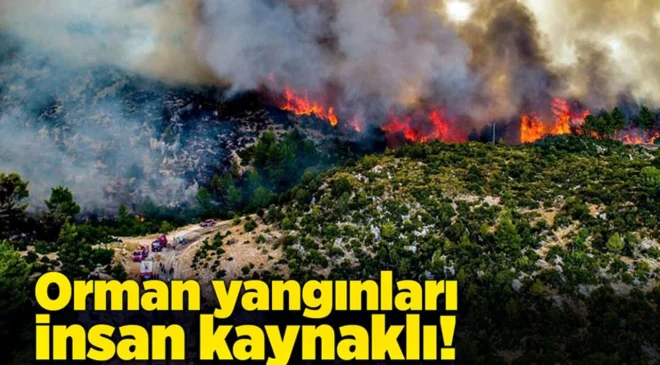 Türkiye genelinde 47 ilde ormanlara giriş yasaklandı