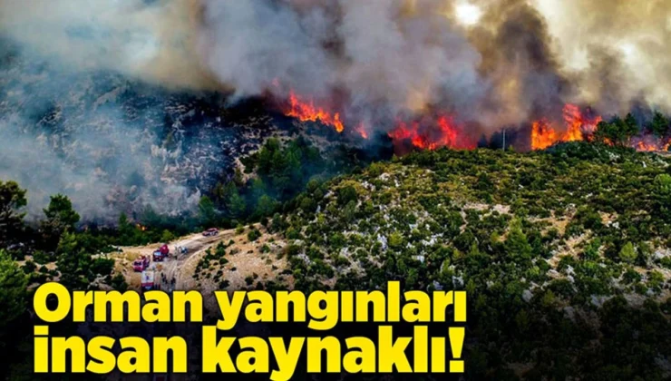 Türkiye genelinde 47 ilde ormanlara giriş yasaklandı