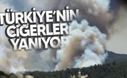 Bakan Yumaklı: Menderes ve Seferihisar’daki orman yangınlarının enerjisi düşürüldü