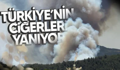 Bakan Yumaklı: Menderes ve Seferihisar’daki orman yangınlarının enerjisi düşürüldü