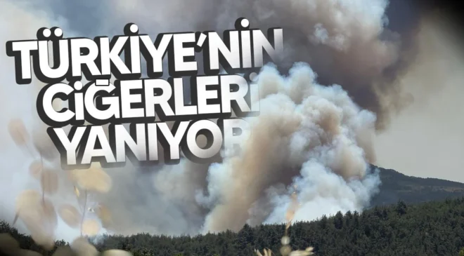 Bakan Yumaklı: Menderes ve Seferihisar’daki orman yangınlarının enerjisi düşürüldü