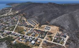 İzmir ve Bilecik’in orman yangınından etkilenen ilçeleri “Genel Hayata Etkili Afet Bölgesi” ilan edildi