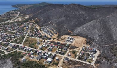 İzmir ve Bilecik’in orman yangınından etkilenen ilçeleri “Genel Hayata Etkili Afet Bölgesi” ilan edildi