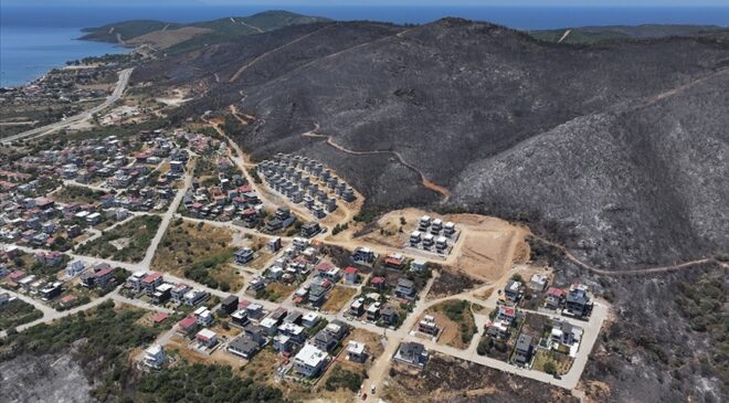 İzmir ve Bilecik’in orman yangınından etkilenen ilçeleri “Genel Hayata Etkili Afet Bölgesi” ilan edildi
