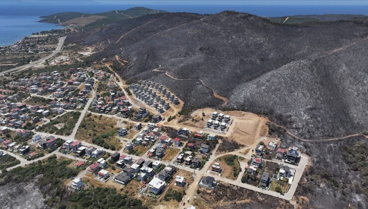 İzmir ve Bilecik’in orman yangınından etkilenen ilçeleri “Genel Hayata Etkili Afet Bölgesi” ilan edildi