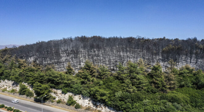 Buca’da yanan ormanlık alan havadan görüntülendi