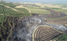 Tekirdağ’dan Çanakkale’ye sıçrayan yangında zarar gören alanların görüntüleri