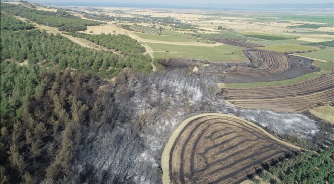 Tekirdağ’dan Çanakkale’ye sıçrayan yangında zarar gören alanların görüntüleri