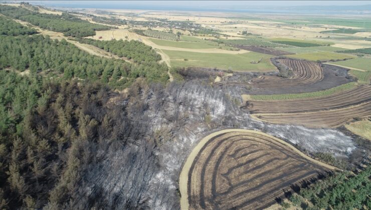 Tekirdağ’dan Çanakkale’ye sıçrayan yangında zarar gören alanların görüntüleri