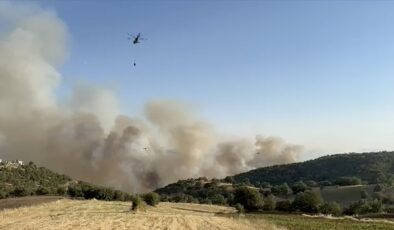 Balıkesir’de çıkan orman yangınına müdahale sürüyor
