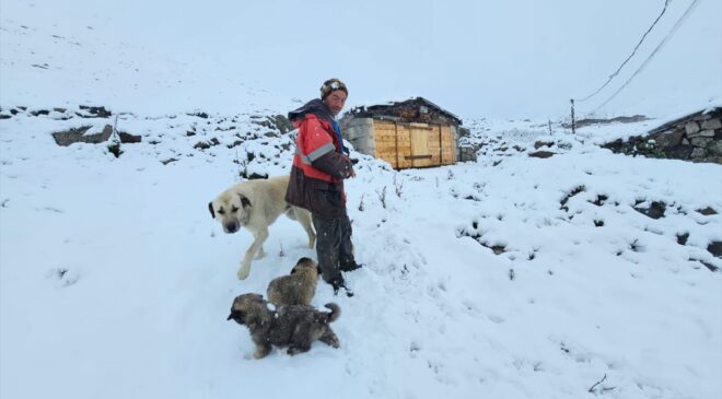 Türkiye Rize’de yüksek kesimlere kar yağdı