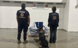 Üç ilde 1 ton 65 kilogram uyuşturucu ele geçirildi