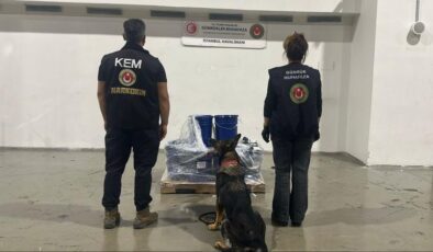 Üç ilde 1 ton 65 kilogram uyuşturucu ele geçirildi