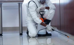 Uzmanlar sitelerde ilaçlamaya yönelik uyarılarda bulundu