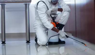 Uzmanlar sitelerde ilaçlamaya yönelik uyarılarda bulundu