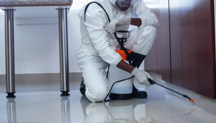 Uzmanlar sitelerde ilaçlamaya yönelik uyarılarda bulundu