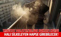 Komşusunun balkonuna halı silkeleyen sanığa “huzuru bozma” cezası