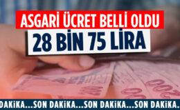 Yeni asgari ücretin detayları belli oldu