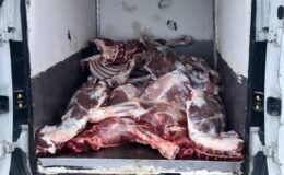 Kırşehir’de 6,1 ton kaçak ve bozulmuş hayvansal ürün ele geçirildi
