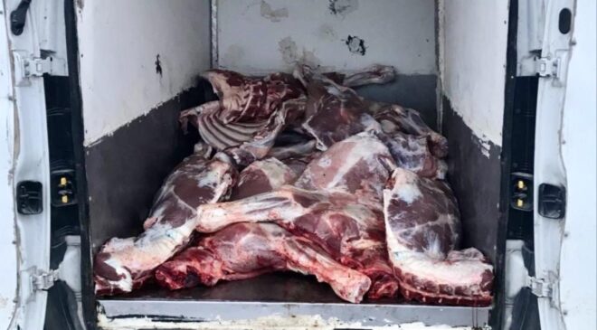 Kırşehir’de 6,1 ton kaçak ve bozulmuş hayvansal ürün ele geçirildi