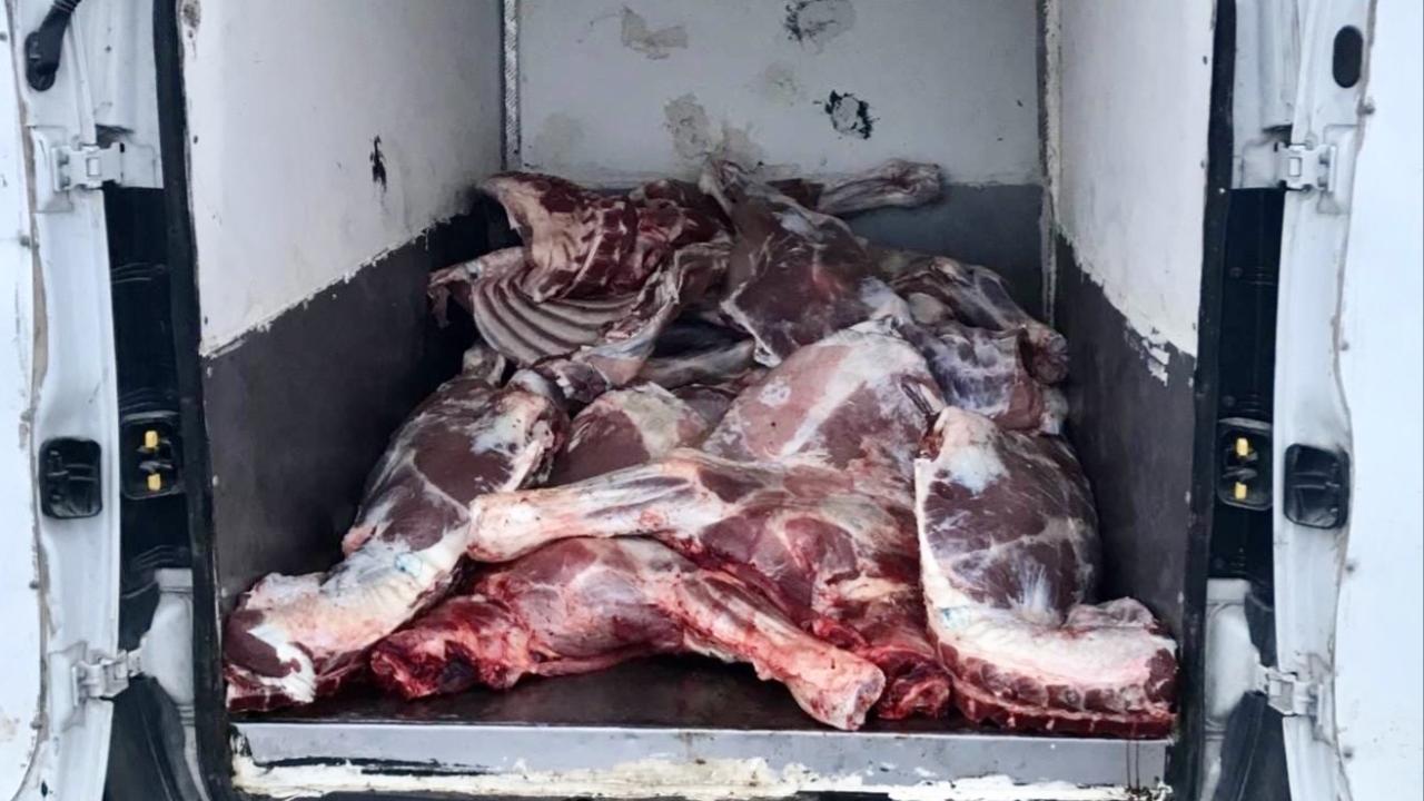 Kırşehir’de 6,1 ton kaçak ve bozulmuş hayvansal ürün ele geçirildi