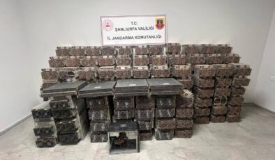 Ahır görünümlü tesiste kaçak elektrikle kripto para imal etmişler